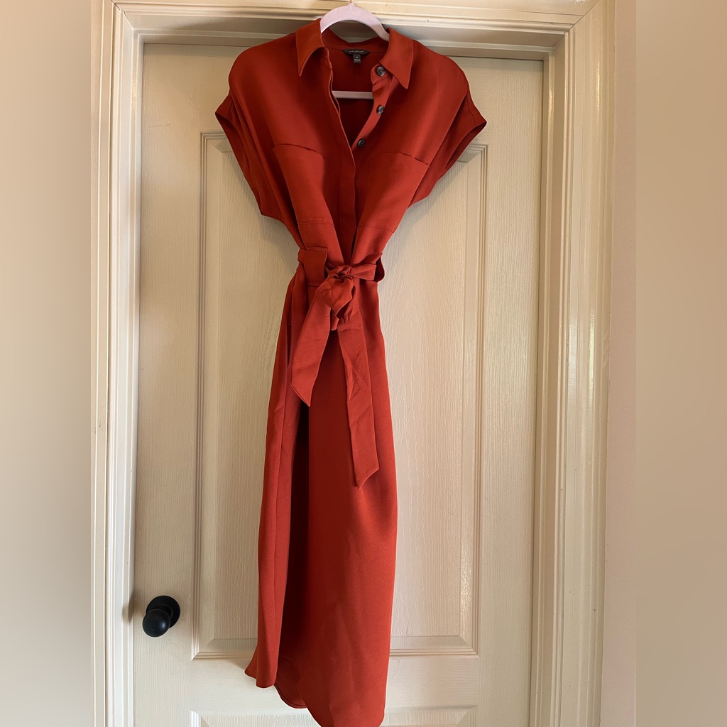 The Limited Burnt Orange Dress